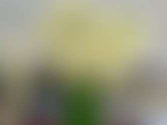 レイキでお彼岸ヒーリング