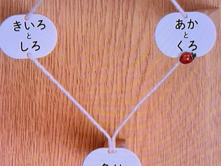 友　めっちゃ遠方より来る