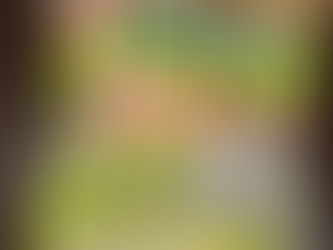 第３の城スタート✨