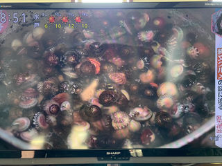 色でエネルギー感じる方多いです