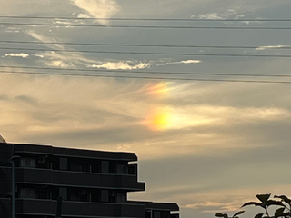 黄色い星の13日間スタート!