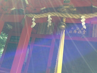 癒すことが大好きです。