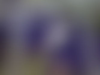 千葉県銚子市「猿田神社」