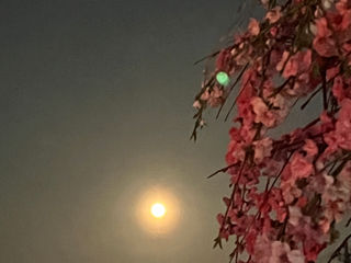 フォローセッションスタート！