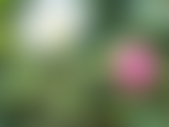 手相講座準備も全集中🎵