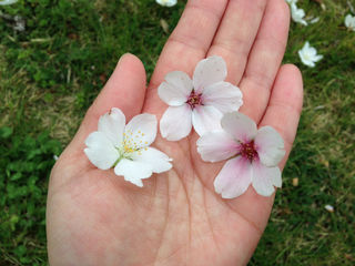 ミラクル続出の一日でした。