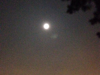 朔日・一粒万倍日