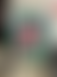 クリスマスシンクロ🌲