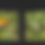 Thumbnail: LBAA Weigh in bags by FishHer