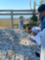 Shell Recycling Area