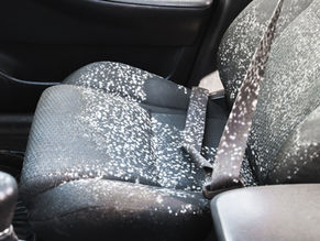 Mould in Cars During Transport: Causes and Limitations of Car Carriers