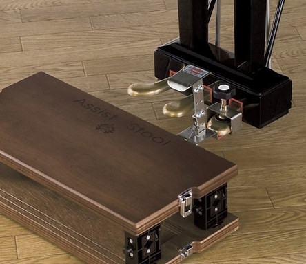 Pedal Assistance Box