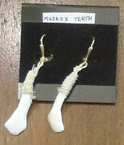 EE 68 Earrings muskox teeth.JPG