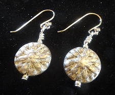 EE 17 Silvered white disc.JPG