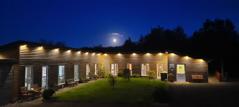 Purpose Built Cattery