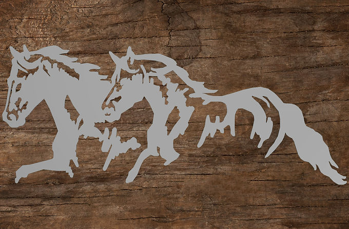 Two horses running v2_edited.jpg