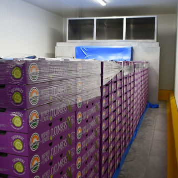 ​MANEJADORA DE AIRE FORZADO