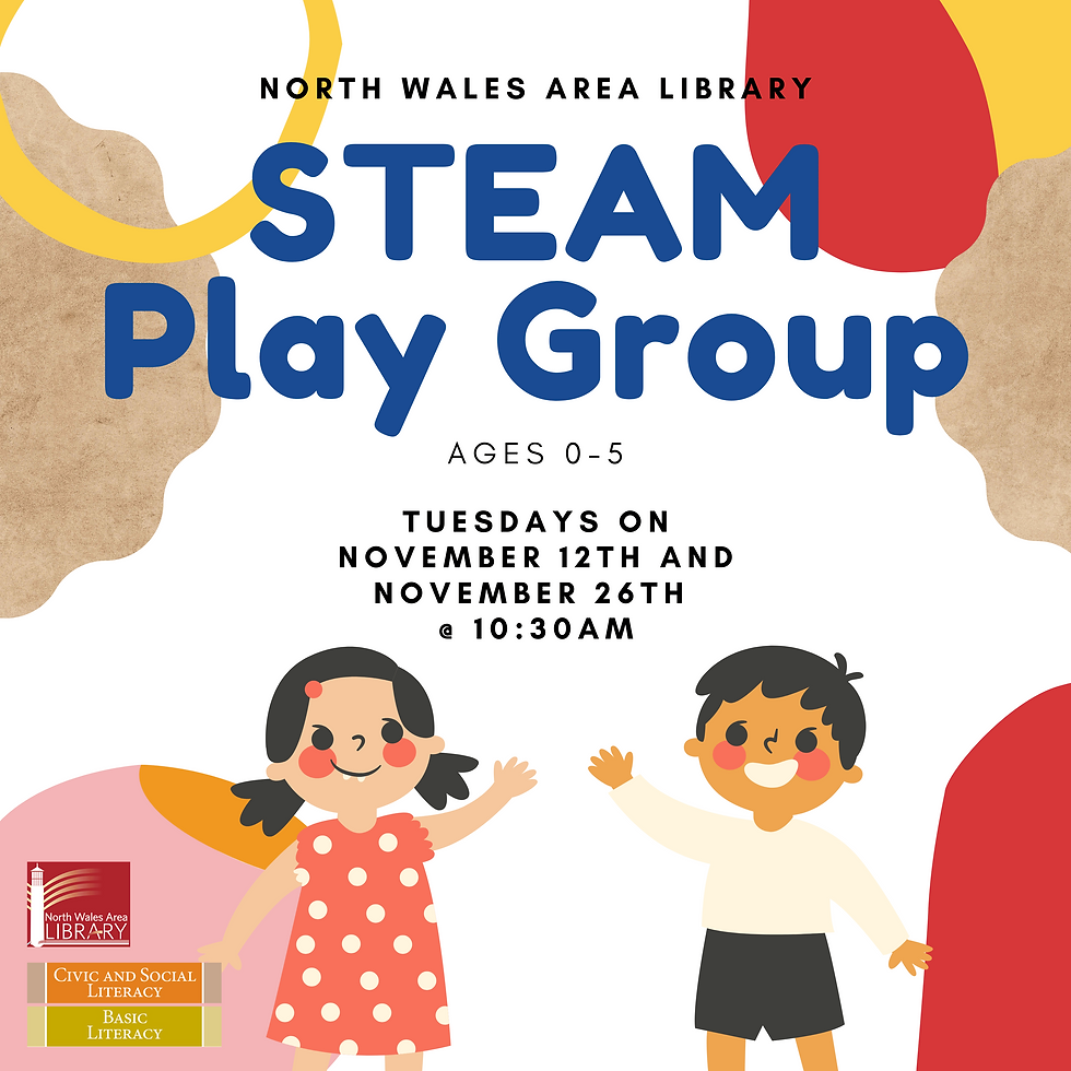 STEAM Play Group