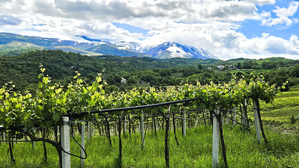 Why Visit Abruzzo?