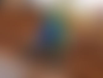 🍄ARENA VELOCROSS 2025 — QUE SHOW!!! 🍄