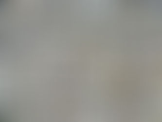 Oysters: Natural Environmental Engineers