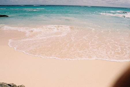 BA2F7DD8-4734-4112-A3CF-A3B8E54692F4_1_2