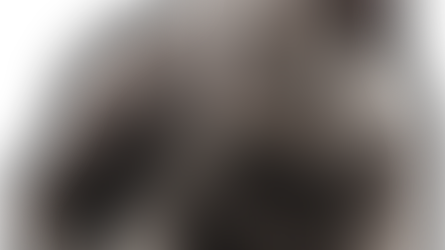 Companion Animal Diabetes Mellitus