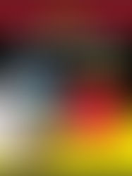 New to Beekeeping? Read This!