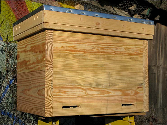 Layens Hive
