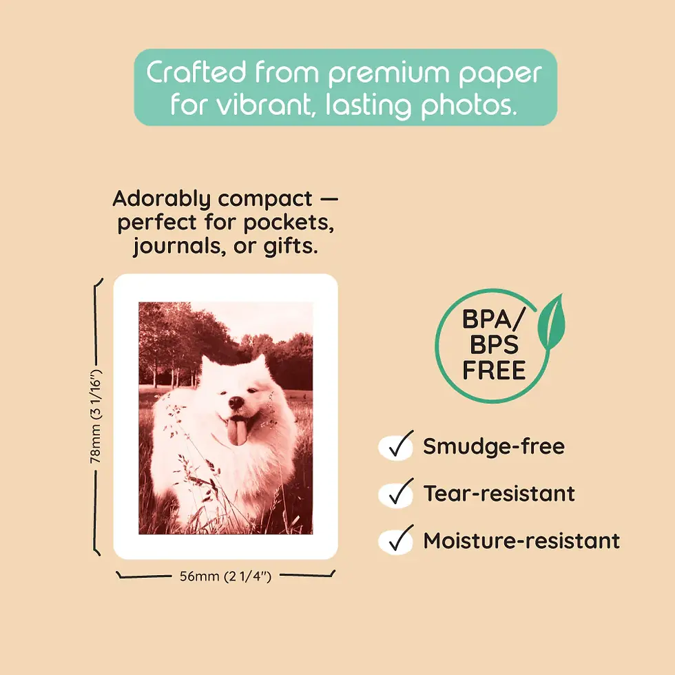 Thumbnail: KIDAMENTO - Ink-Free Print Packs 120 for Model P2