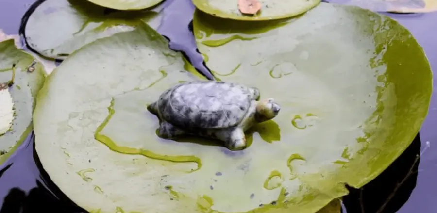 Thumbnail: STUDIOSTONE CREATIVE - Turtle Soapstone Carving Kit