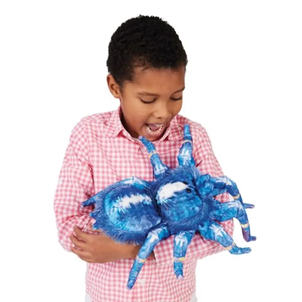 Thumbnail: FOLKMANIS - Blue Tarantula Puppet