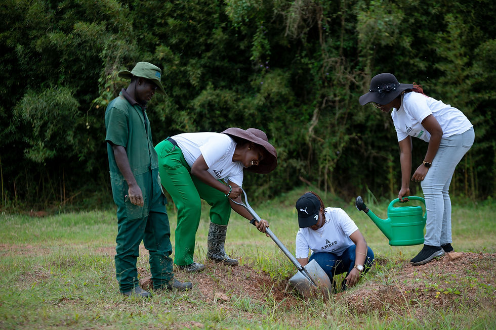 Tree planting event. International Day of forests