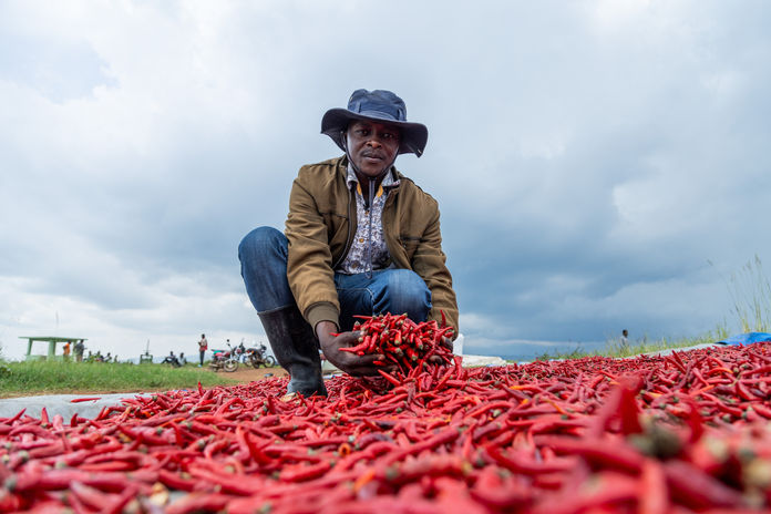 Green Lens International Documentary, Videography and photography services in Uganda