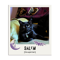 Salem Photo Frame.png