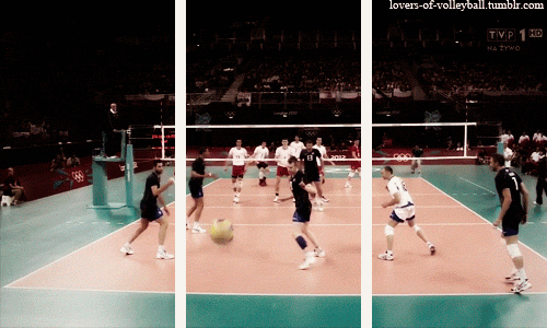tumblr_ms1n7wOFCp1rg0hu0o1_500.gif