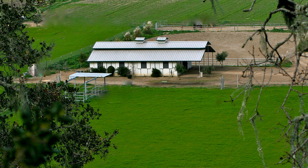 Show Barn