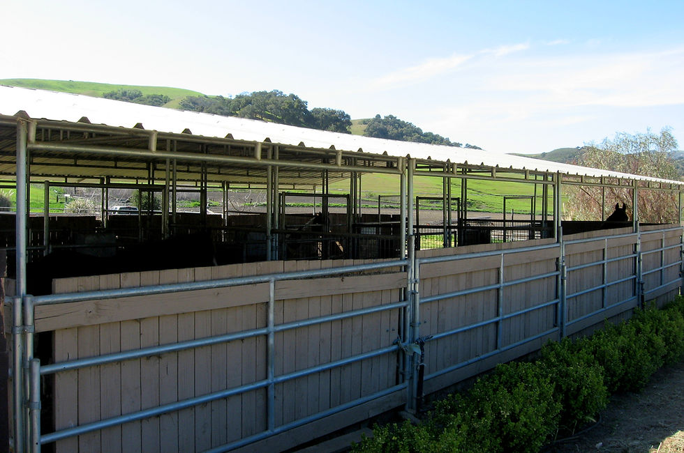 Breezy Barn