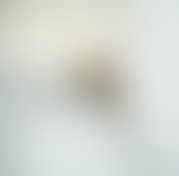 Master Professional Painting with Expert Techniques