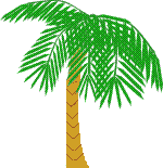 animiertes-palme-bild-0008.gif