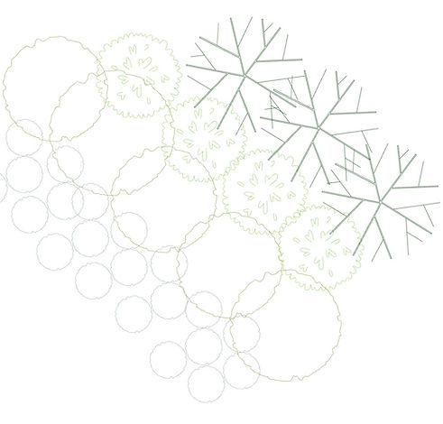 2D Plant view image.jpg