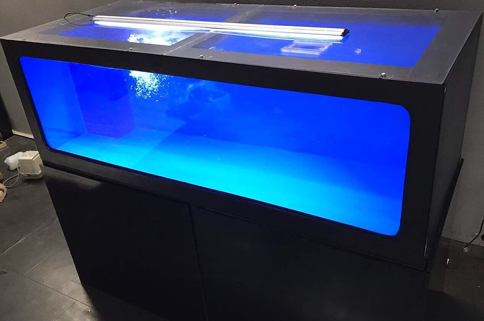 1800x750x600