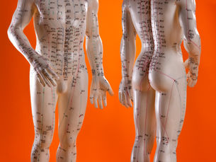 Yin Yoga & Traditional Chinese Medicine