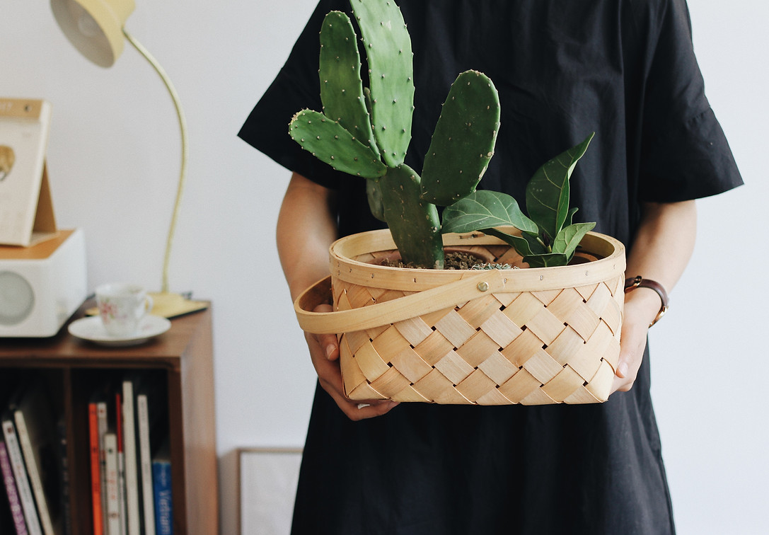 Woman holding a wicker flower basket with cactus inside