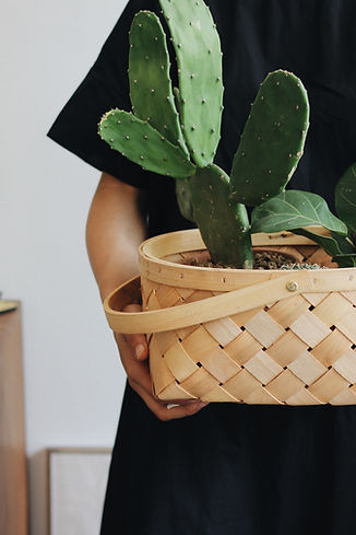 Girl Holding Plant