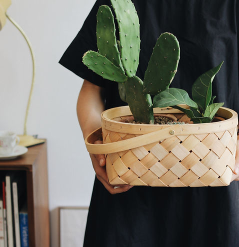 Woman cactus minimalist