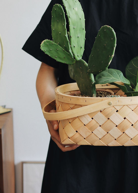 Girl Holding Plant