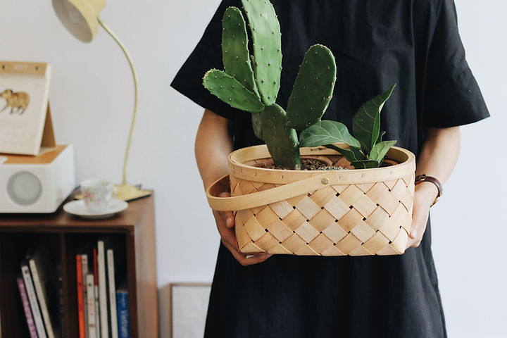Girl Holding Plant