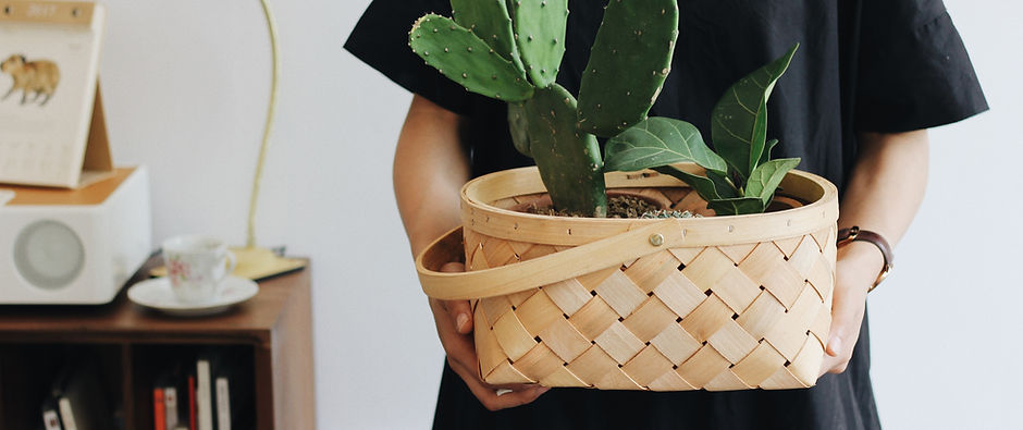 Girl Holding Plant