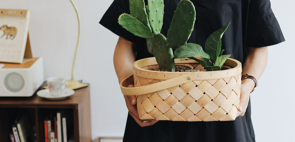 Girl Holding Plant